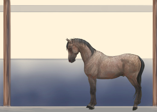 753689 (a): :3500x2500